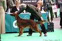 Crufts2011 499